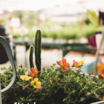 metal-bucket-greenhouse(1)